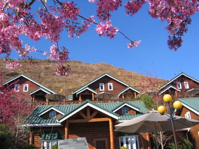 清境豐田桂林山莊民宿 Renai Exteriér fotografie